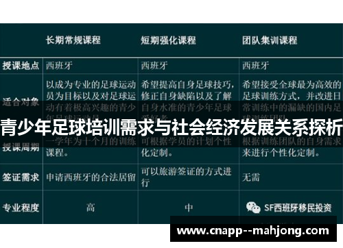 青少年足球培训需求与社会经济发展关系探析