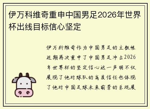 伊万科维奇重申中国男足2026年世界杯出线目标信心坚定 伊万科维奇重申中国男足2026年世界杯出线目标信心坚定